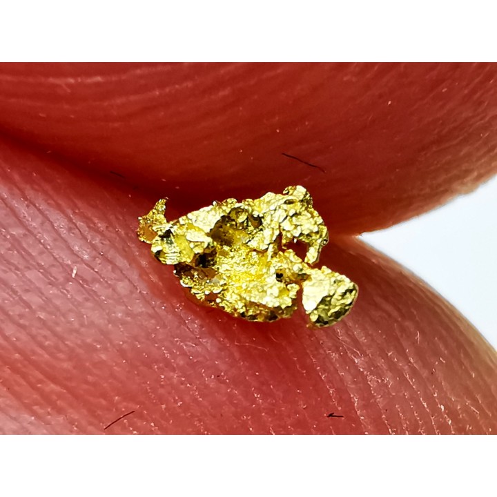 gold nugget - Kalgoorlie, Australia