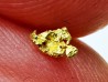 gold nugget - Kalgoorlie, Australia
