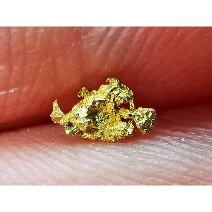 Pepite d'or - Kalgoorlie, Australie