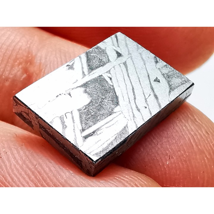 Météorite: SIDERITE Iron IIIE-an - ALETAY, Chine