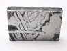 Meteorite: SIDERITE Iron IIIE-an - ALETAY, China