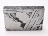 Météorite: SIDERITE Iron IIIE-an - ALETAY, Chine