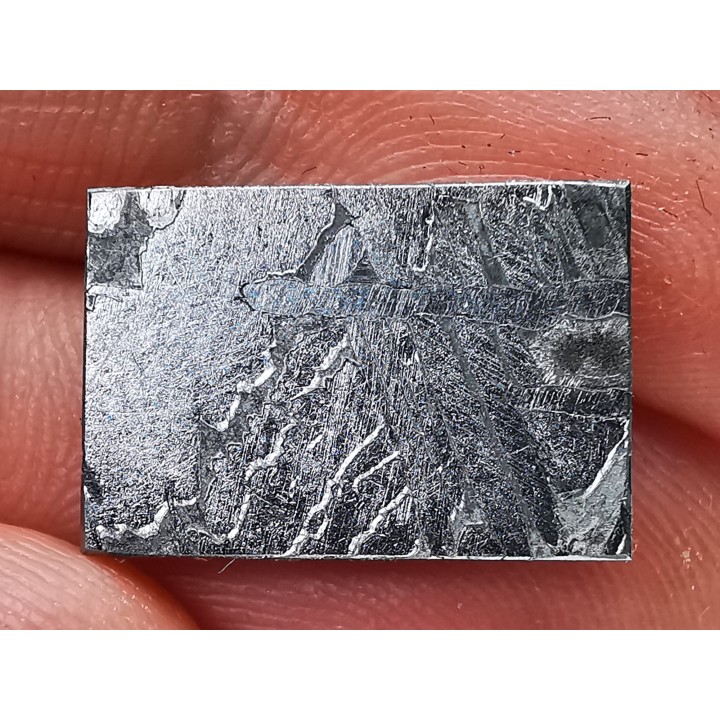 Météorite: SIDERITE Iron IIIE-an - ALETAY, Chine