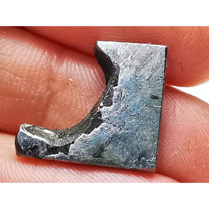 Météorite: SIDERITE Iron IIIE-an - ALETAY, Chine