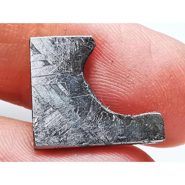 Meteorite: SIDERITE Iron IIIE-an - ALETAY, China