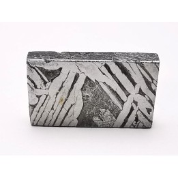 Météorite: SIDERITE Iron IIIE-an - ALETAY, Chine