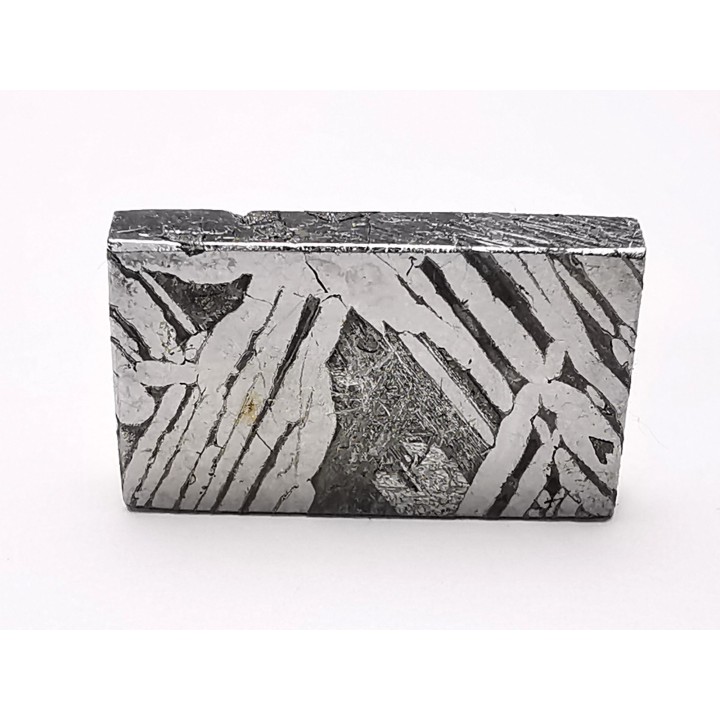 Météorite: SIDERITE Iron IIIE-an - ALETAY, Chine