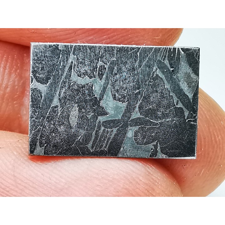 Météorite: SIDERITE Iron IIIE-an - ALETAY, Chine