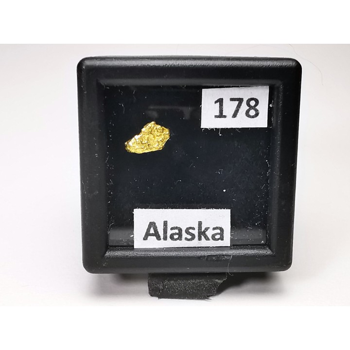 Pépite d'Or - Yukon, ALASKA