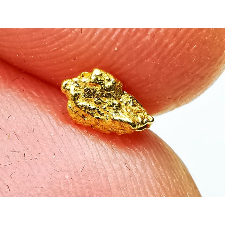 Pépite d'Or - Yukon, ALASKA