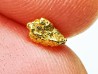 Pépite d'Or - Yukon, ALASKA