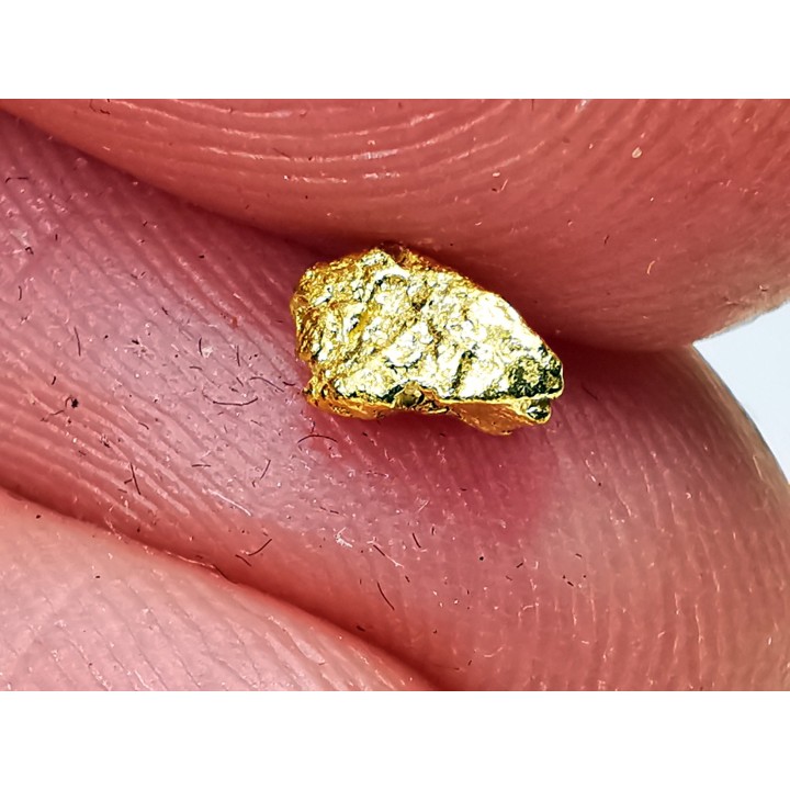 Pépite d'Or - Yukon, ALASKA