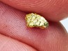 Pépite d'Or - Yukon, ALASKA