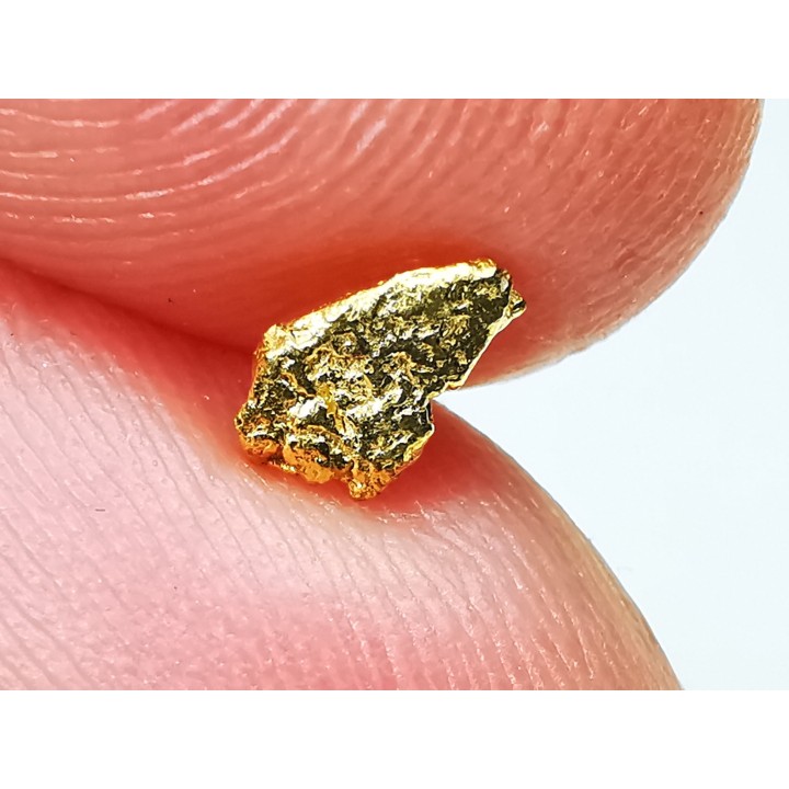 Pépite d'Or - Yukon, ALASKA