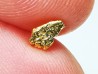 Pépite d'Or - Yukon, ALASKA