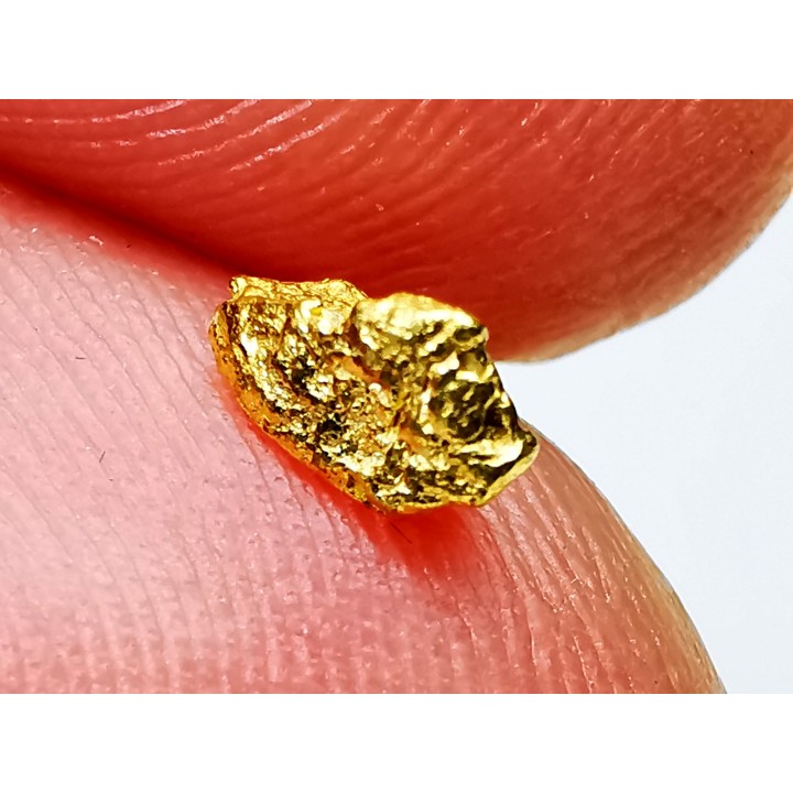 gold nugget  - yukon, ALASKA