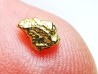 Pépite d'Or - Yukon, ALASKA