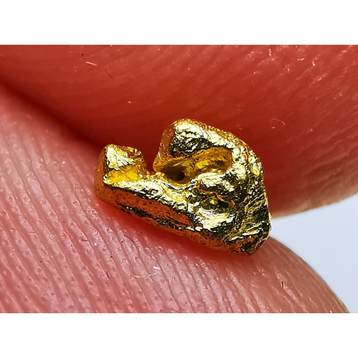 gold nugget  - yukon, ALASKA