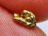 gold nugget  - yukon, ALASKA