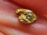 Pépite d'Or - Yukon, ALASKA