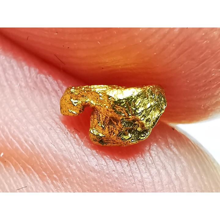 Pépite d'Or - Yukon, ALASKA
