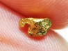 Pépite d'Or - Yukon, ALASKA