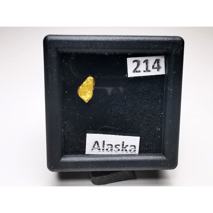 gold nugget  - yukon, ALASKA