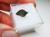 Meteorite: Chondrite L4-5 - Sayl al Uhaymir 001