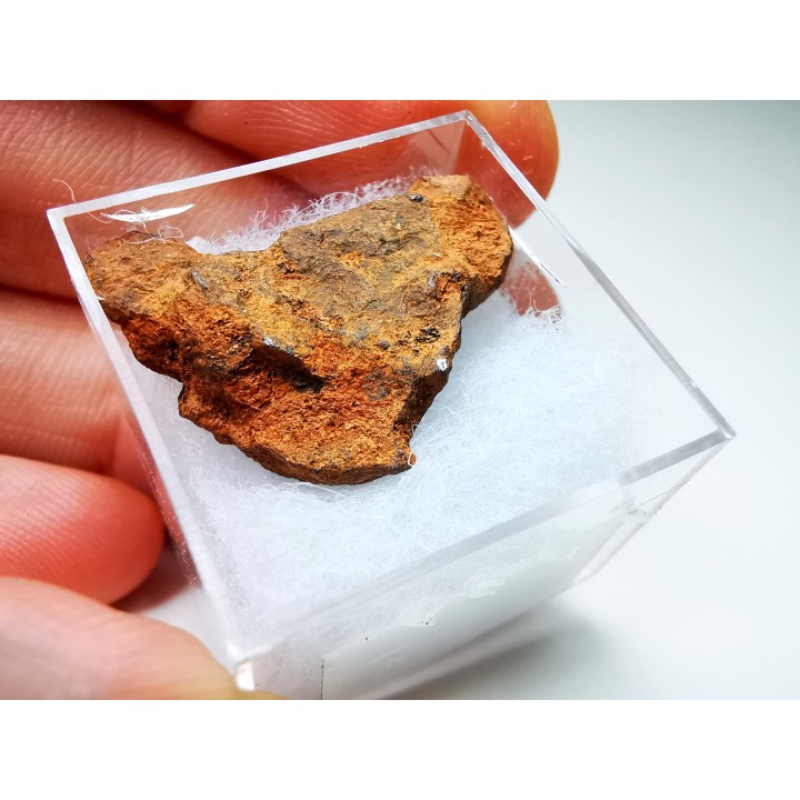 Météorite: Mésosidérite, Dalgaranga, Australie