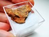Météorite: Mésosidérite, Dalgaranga, Australie