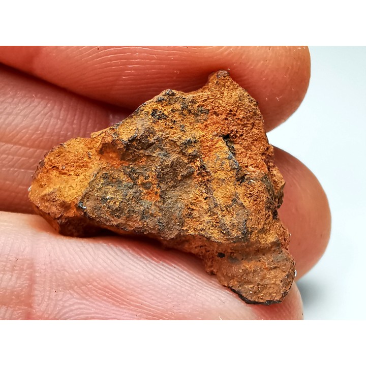 Meteorite: Mesosiderite, Dalgaranga, Australia