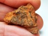 Meteorite: Mesosiderite, Dalgaranga, Australia