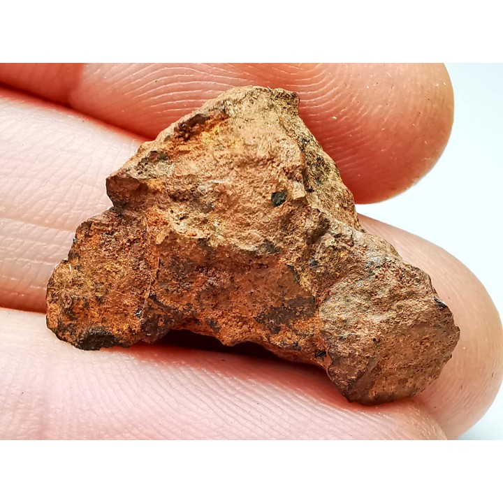 Meteorite: Mesosiderite, Dalgaranga, Australia