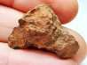 Meteorite: Mesosiderite, Dalgaranga, Australia