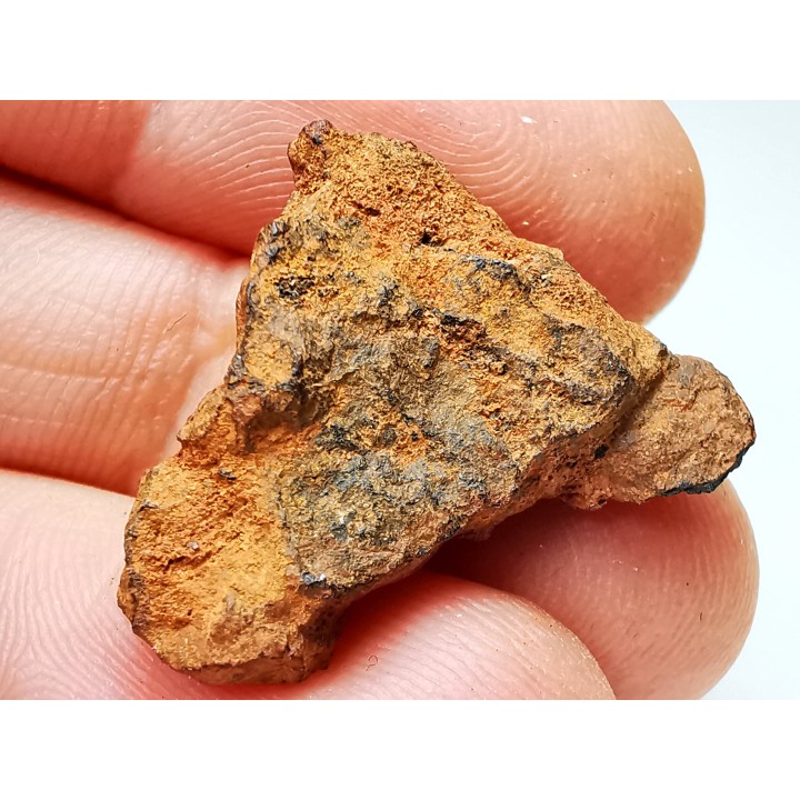 Meteorite: Mesosiderite, Dalgaranga, Australia