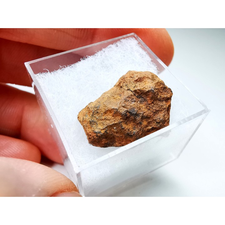 Meteorite: Mesosiderite, Dalgaranga, Australia