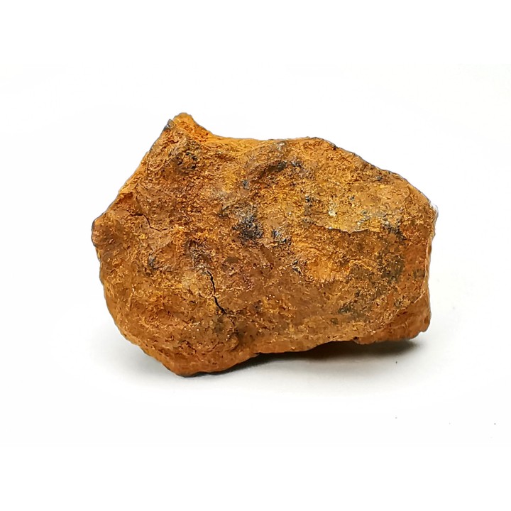 Meteorite: Mesosiderite, Dalgaranga, Australia