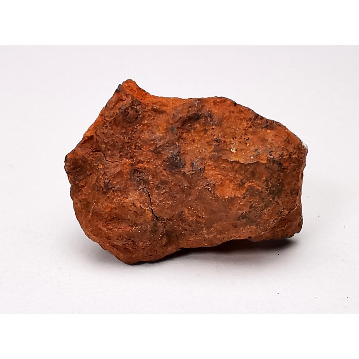 Meteorite: Mesosiderite, Dalgaranga, Australia