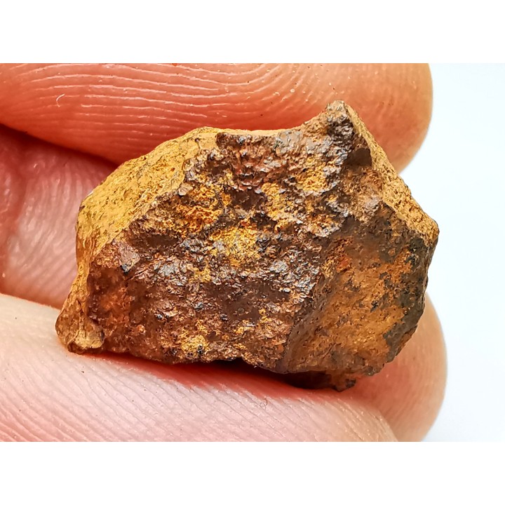 Meteorite: Mesosiderite, Dalgaranga, Australia