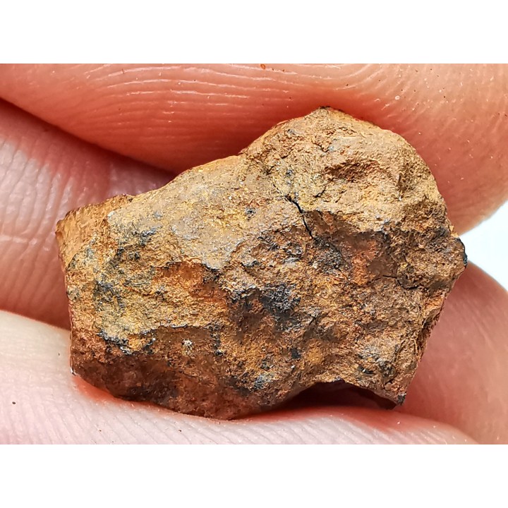 Météorite: Mésosidérite, Dalgaranga, Australie