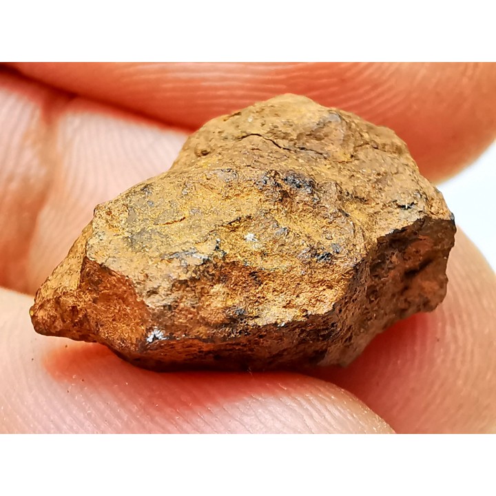 Météorite: Mésosidérite, Dalgaranga, Australie