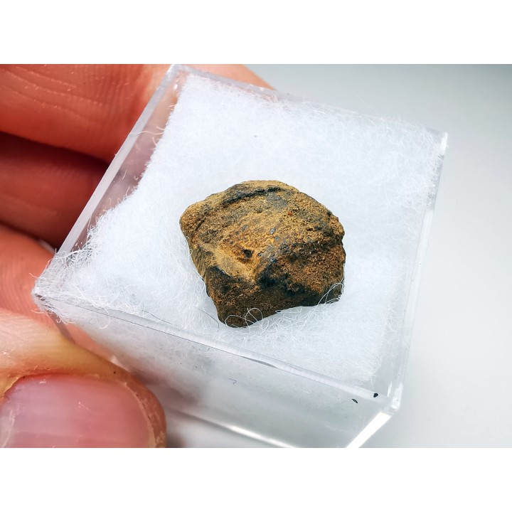 Météorite: SIDERITE iron IVA - GIBEON
