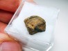 Météorite: SIDERITE iron IVA - GIBEON