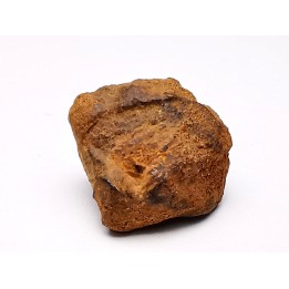 Météorite: SIDERITE iron IVA - GIBEON