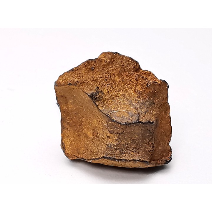 Météorite: SIDERITE iron IVA - GIBEON