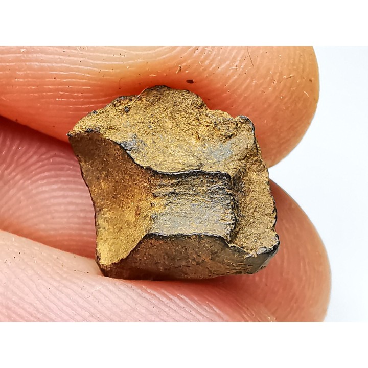 Météorite: SIDERITE iron IVA - GIBEON
