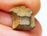 Météorite: SIDERITE iron IVA - GIBEON