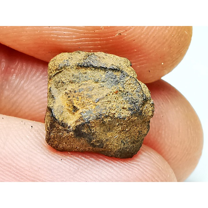 Météorite: SIDERITE iron IVA - GIBEON