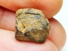 Météorite: SIDERITE iron IVA - GIBEON