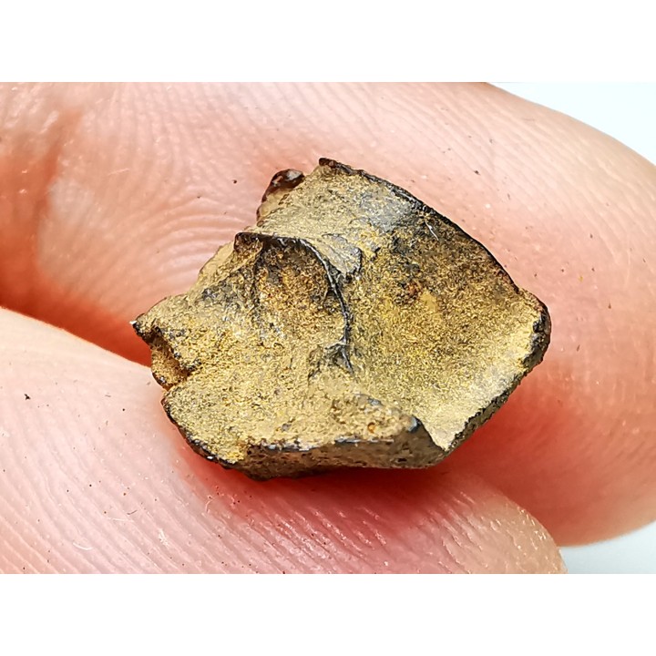Météorite: SIDERITE iron IVA - GIBEON